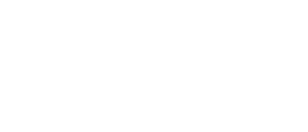 RBU-Germany Logo